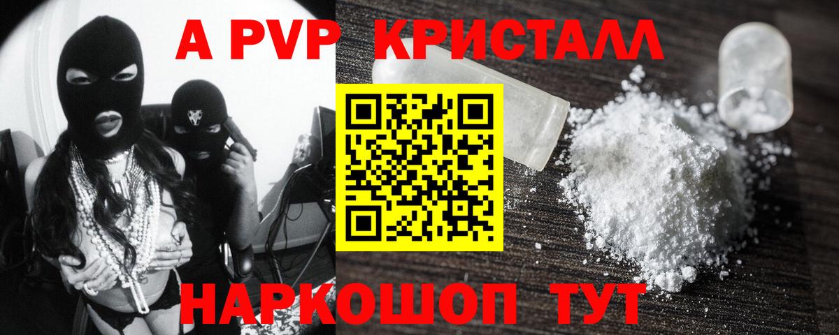 Alfa_PVP СК Камышин