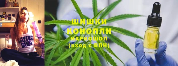 сатива Зеленокумск