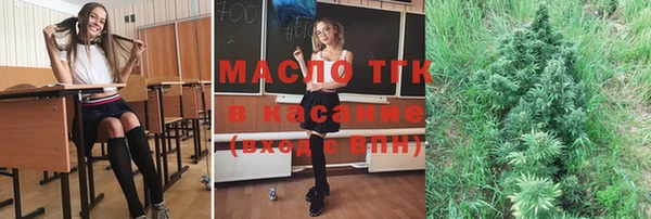 гашик Алексеевка