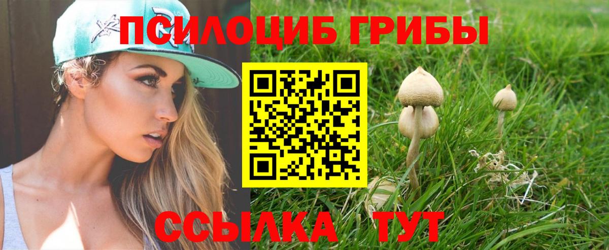 Камышин  Галлюциногенные грибы Psilocybine cubensis  Галлюциногенные грибы Psilocybe  Вход с VPN 