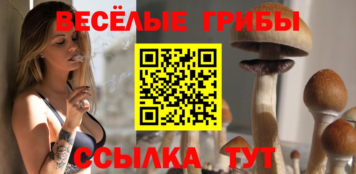 Галлюциногенные грибы мухоморы Камышин